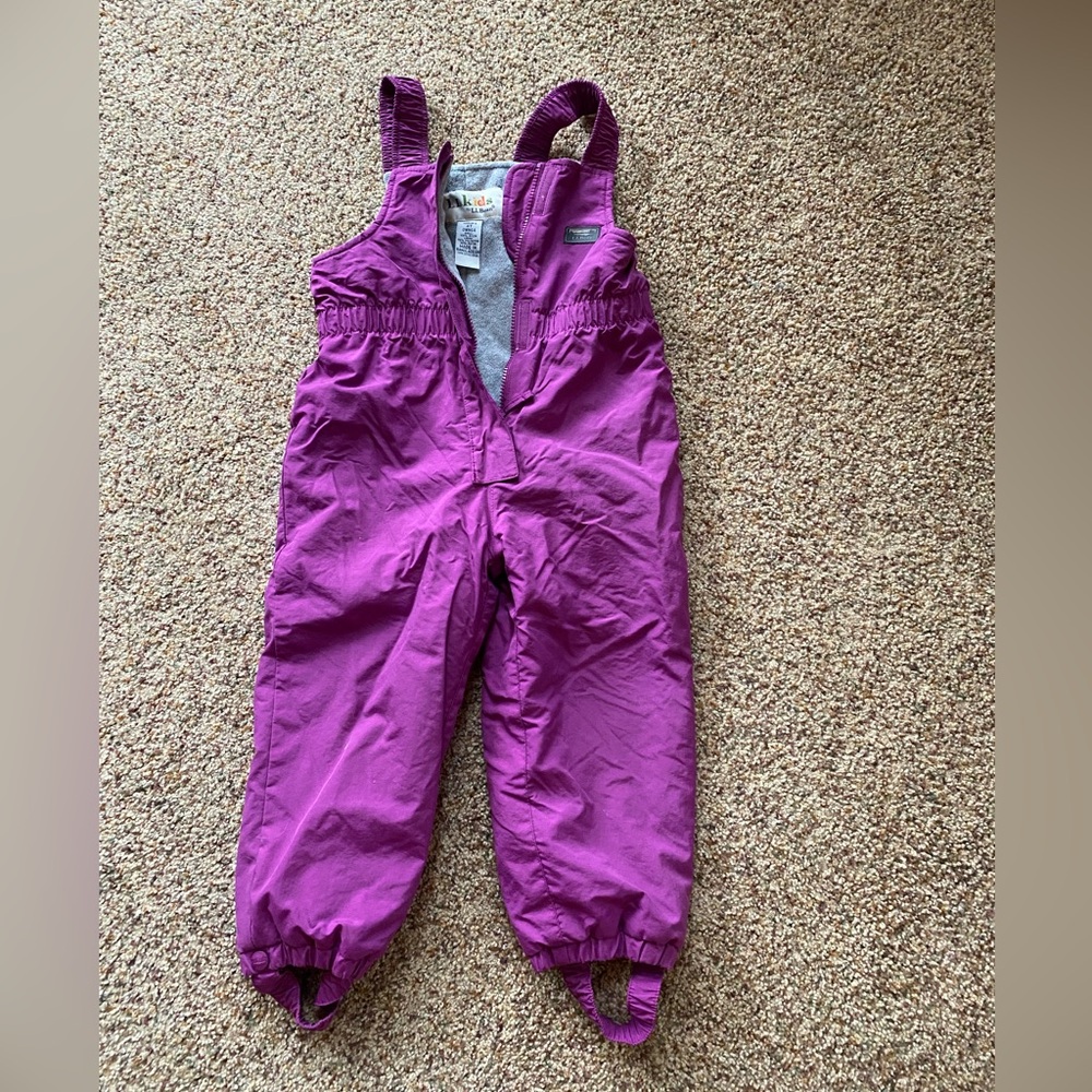 L.L. Bean Purple Insulated Overalls with Waterproof Fabric